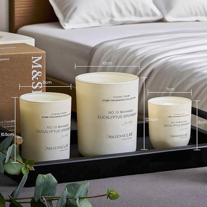 M&SENSE Natural Soy Candle| Eucalyptus Spearmint | 16.6 oz, 95H Burn | Minimalist Scented Candle for Relaxation, Gifting, Home Décor | for Bedroom, Office, Party Large