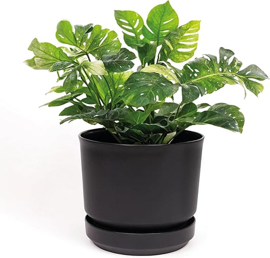 Elly Décor 10 inch Plastic Cylinder Planter Pot with Self-Watering Saucer and Drainage Hole,Lightweight & Extremely Durable, 10"x 10", Black