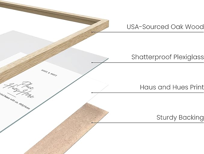 HAUS AND HUES Set of 4 Wooden Frames - 9x12 Picture Frames, Natural Wood, Beige Oak