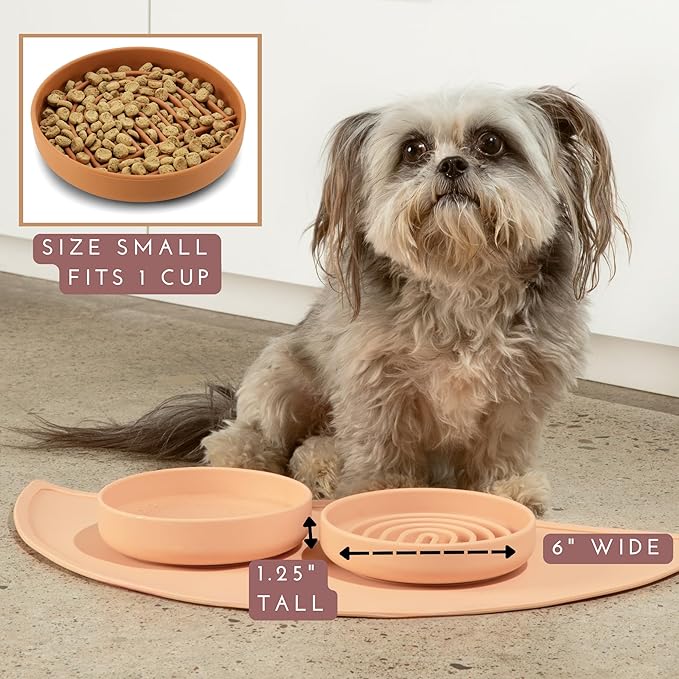 The Slowdown Bowl Silicone Slow Feeder for Cats & Kittens, Slow Eating Mealtime Solution with Modern Lick Mat Design, Reduces Gulping, Fits 1 Cup 6” Across x 1.25” Tall, Small-Spruce