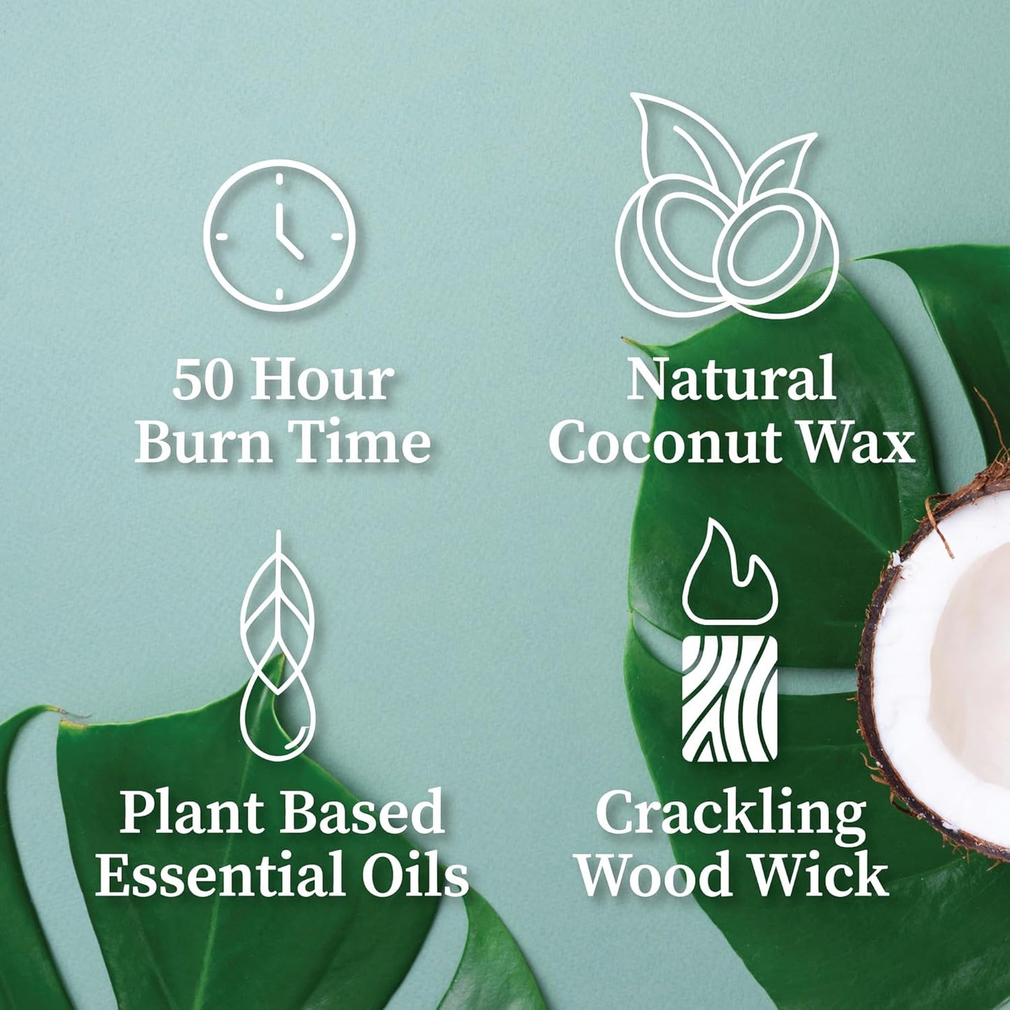 Hemlock Park Wood Wick Candle Handcrafted with Natural Coconut Wax and Essential Oils (Amber & Gold 7.2 oz, Lily of The Valley)