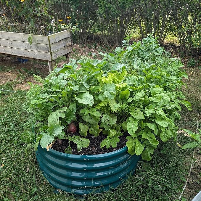 1 Pack 8x3x1.5FT Galvanized Raised Garden Bed Kit Oval Metal Ground Planter Box Outdoor Bottomless Planter Raised Beds for Vegetables Flowers Herbs Fruits, Green